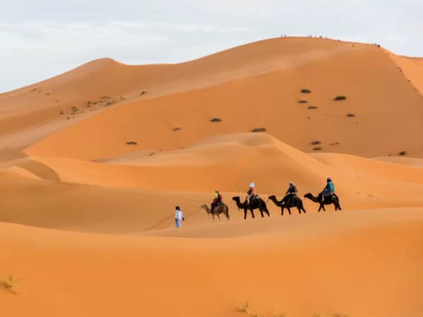 11 Days Tour from Casablanca to Marrakech