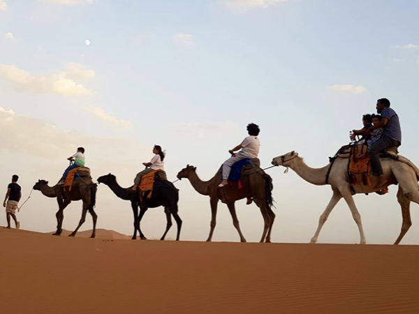 15 Days Sahara Desert Tour from Casablanca Camel Trek Merzouga