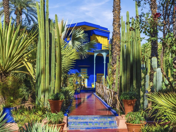 15 Days Sahara Desert Tour from Casablanca Majorelle Garden