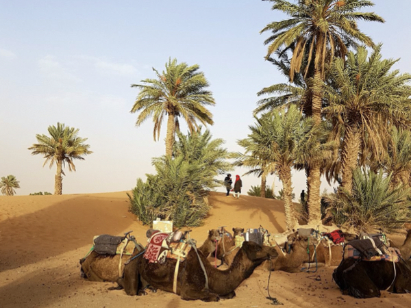 15 Days Sahara Desert Tour from Casablanca Ramlia