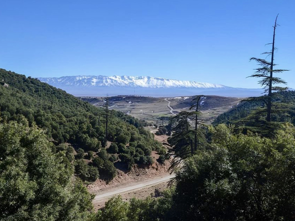 9 Days Tour from Casablanca to Marrakech Azou Cedar Forest