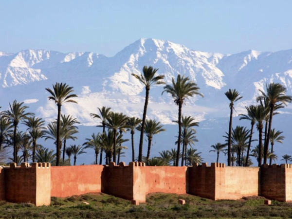 Imperial Cities and Sahara Desert Tour from Casablanca Marrakech Medina Visit