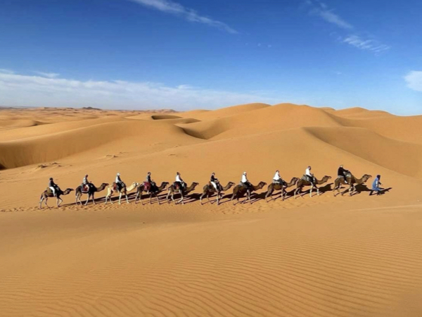 Imperial Cities and Sahara Desert Tour from Casablanca Merzouga Camel Trek