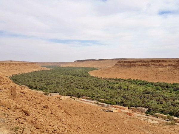 Imperial Cities and Sahara Desert Tour from Casablanca Ziz Valley