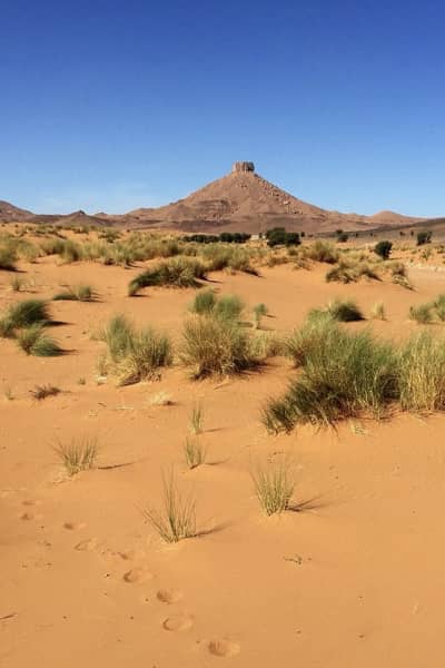 15 Days Tour from Casablanca to Sahara Desert