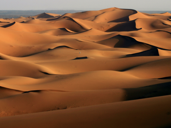 3 days tour from marrakech to fes merzouga desert