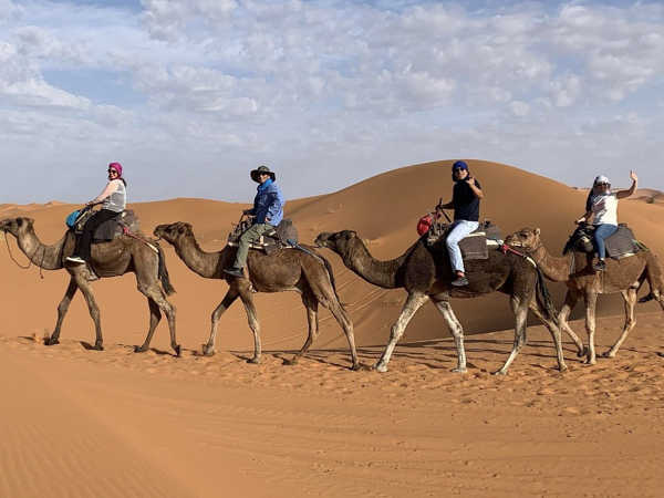 Camel Ride and Night in a Desert Camp from Fes