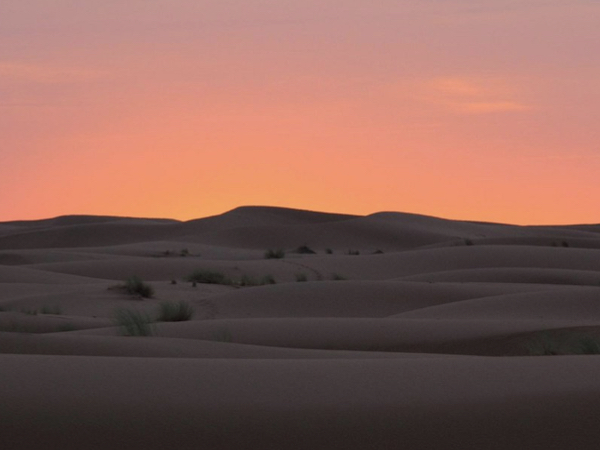 Camel Ride and Night in a Desert Camp from Fes Merzouga Sahara