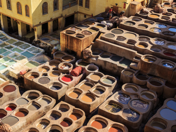 Fes Sightseeing half Day Tour