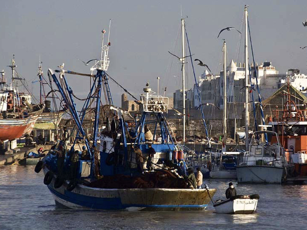 Day Tour from Marrakech to Essaouira