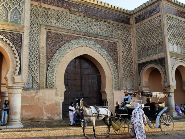 Meknes Volubilis Day Tour from Fes